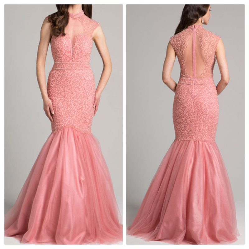 Pink Chic ChokerStyle Gown The Store of Quality Fashion Items